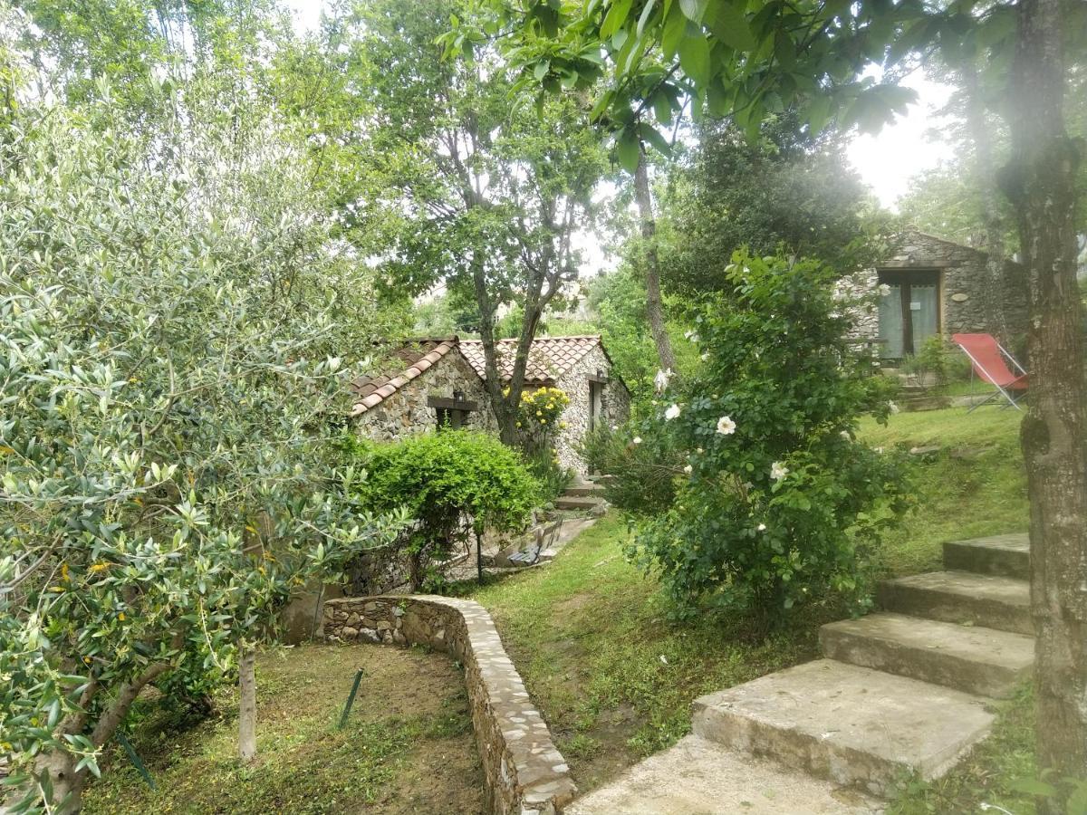 Bed & Breakfast Praesidio 5*