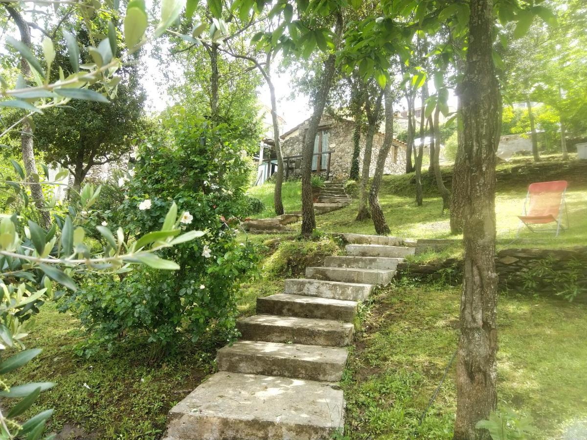 Bed & Breakfast Praesidio 5*